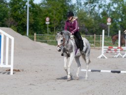 IMG_0479_web